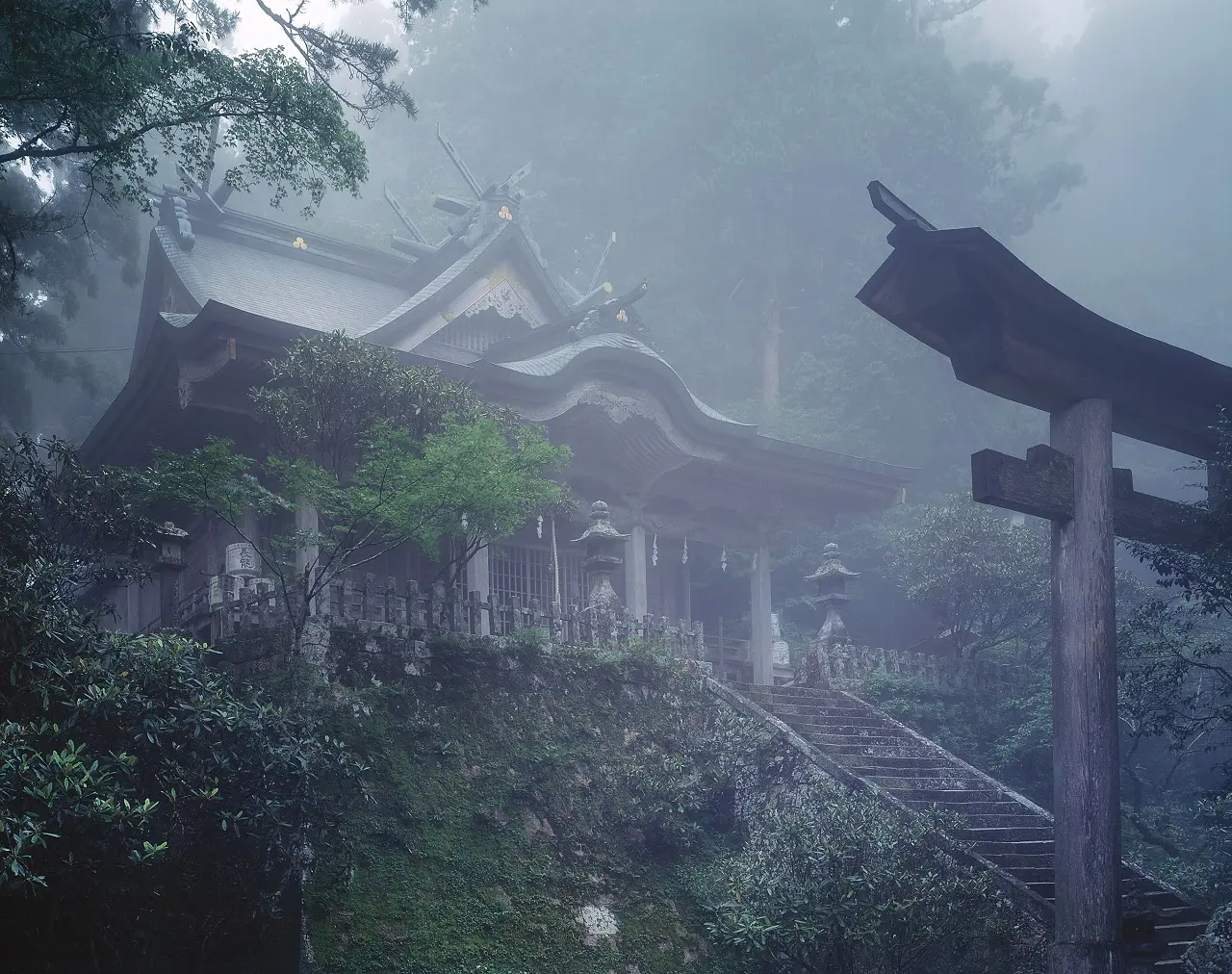 霧に包まれ幻想的な雰囲気の本殿