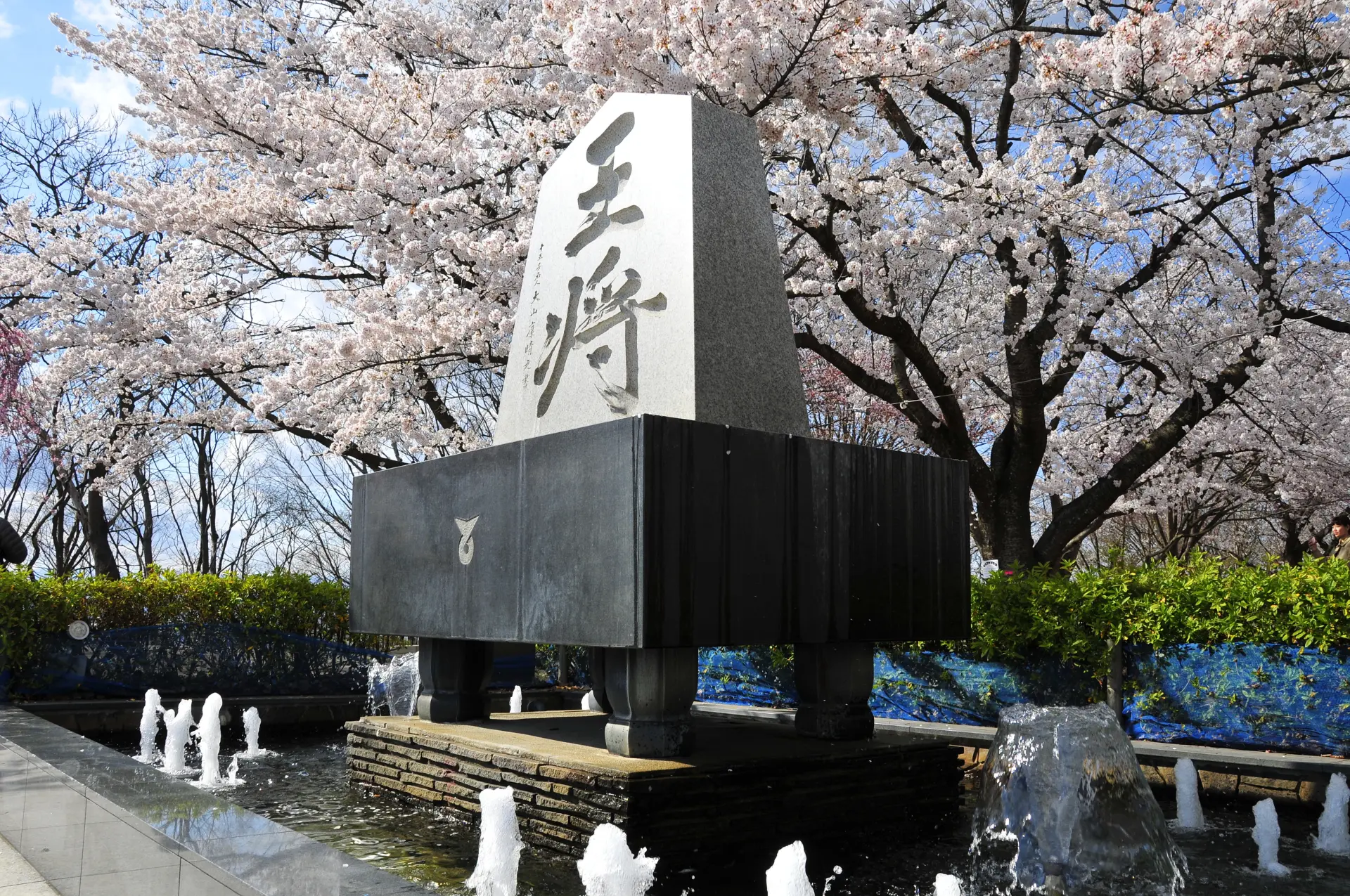 約2,000本の桜が咲き誇る