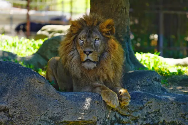 愛媛県立とべ動物園とえひめこどもの城は隣接しており、あわせて訪れやすい