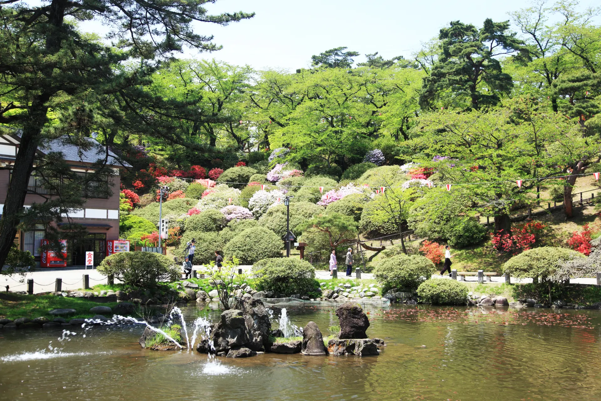 城の特徴を活かした美しい日本式庭園で散策が楽しめる