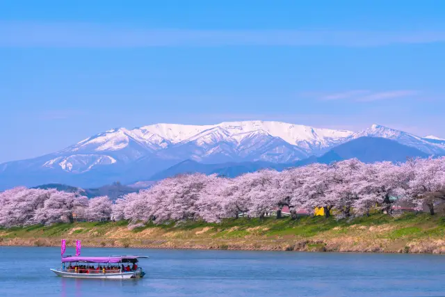 春の桜や蔵王連峰の雪景色など、宮城では季節ごとに異なる自然風景を楽しめる