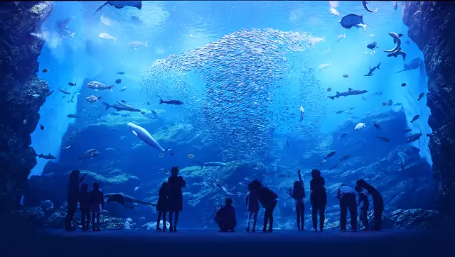 三陸沖の生物から世界の生物まで幅広く展示する、東北最大級の水族館