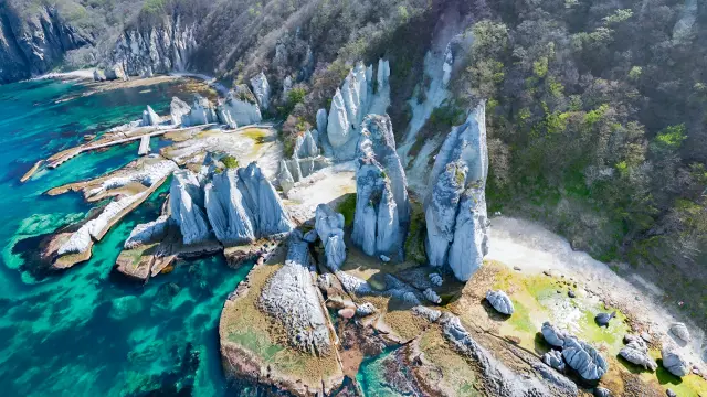 【青森で出会うダイナミックな風景11選】没入する景色と、果てまで続く絶景
