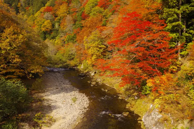 変化に富んだ地形に、四季折々の自然の色彩が生える景観