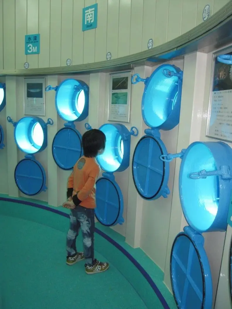 海中展望塔内の円形窓からは、海中の様子が至近距離で見られる