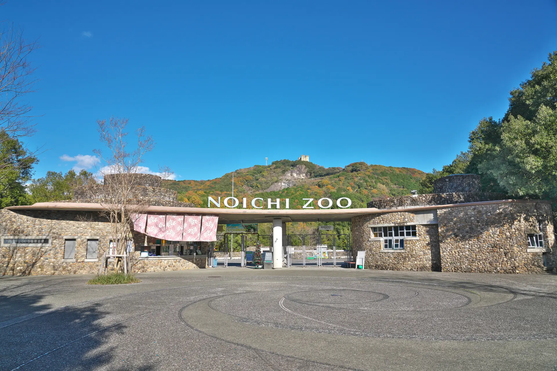 高知県立のいち動物公園では、広々とした園内で動物たちを眺めながらゆったり過ごせる