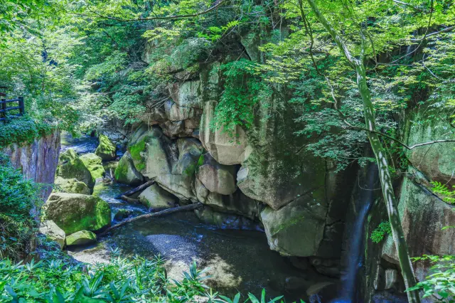 【夏の仙台市観光ガイド】奥座敷で過ごす、仙台の涼やかな夏時間