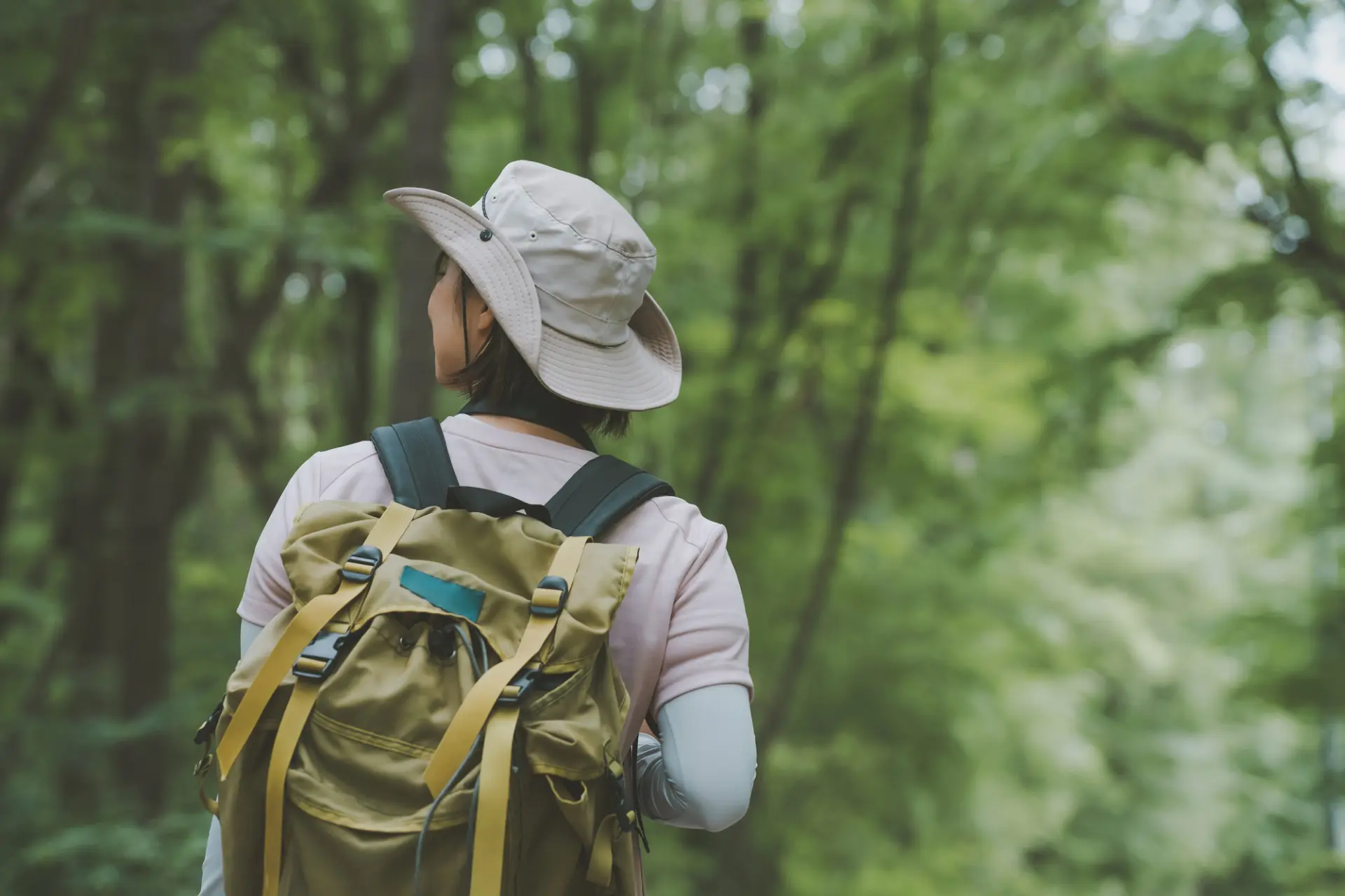 木陰が続く山あいの森では、自然の空気を感じながら自分のペースで散策を楽しめる