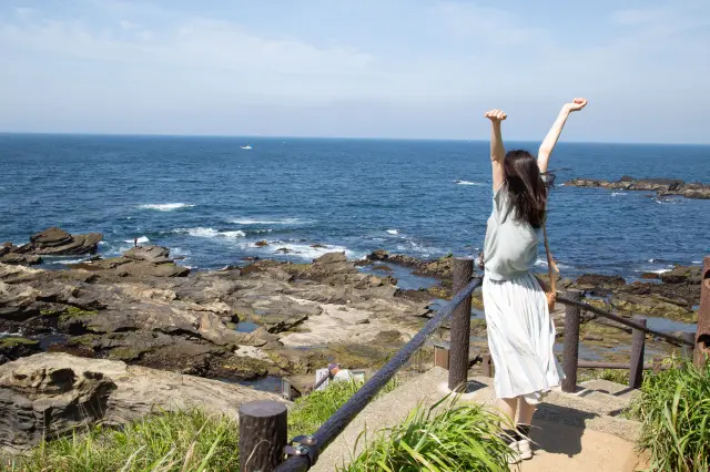 三浦半島日帰りドライブモデルコース｜三崎・横須賀の個性豊かな港町を巡る旅