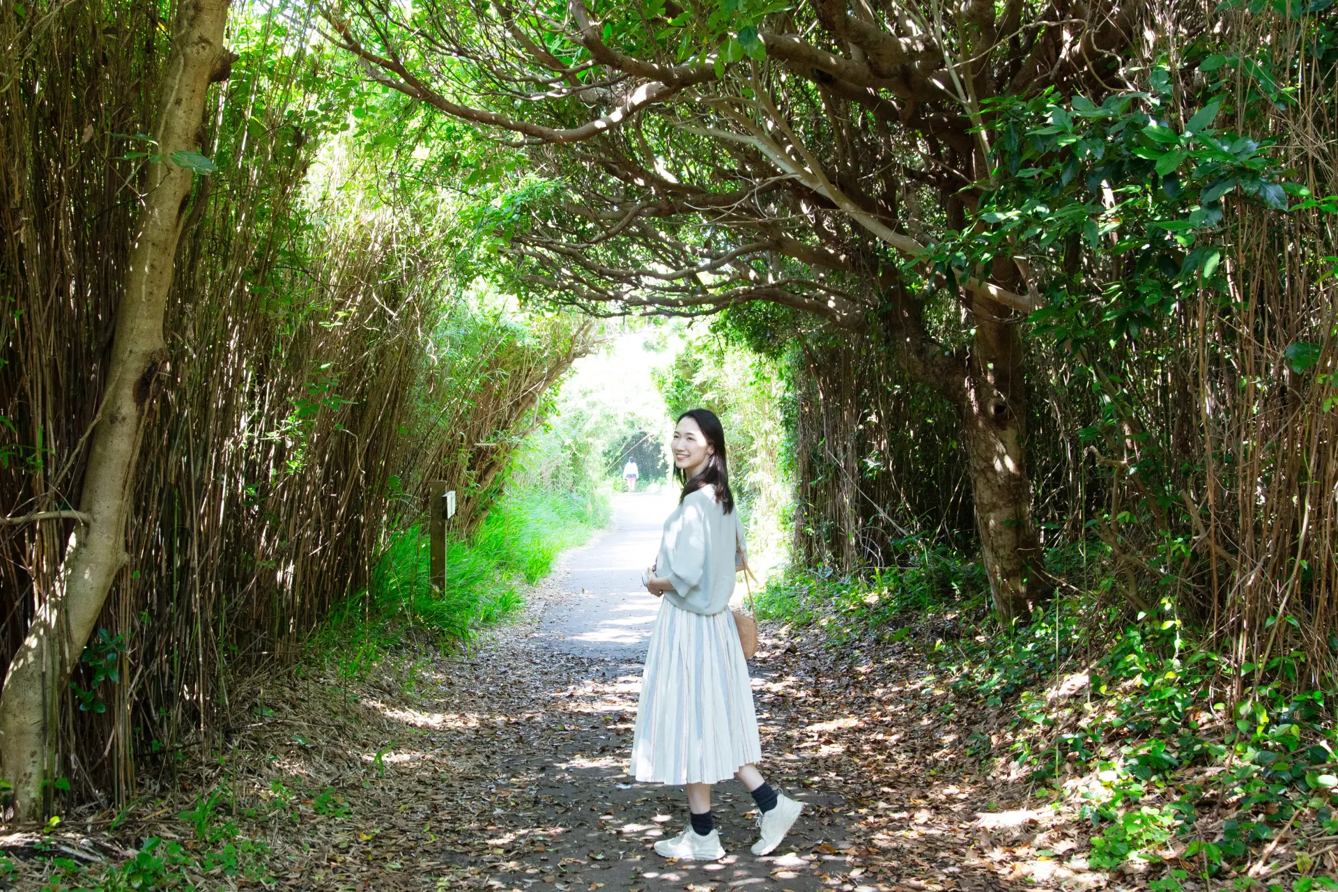 涼やかな風が吹くトンネルが気持ちいい!