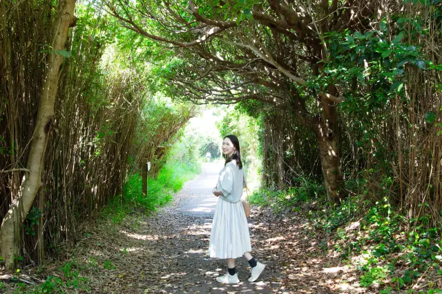 涼やかな風が吹くトンネルが気持ちいい！