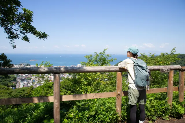 葉山半日モデルコース｜初心者OK！仙元山ハイキングで絶景と三浦野菜を楽しむ