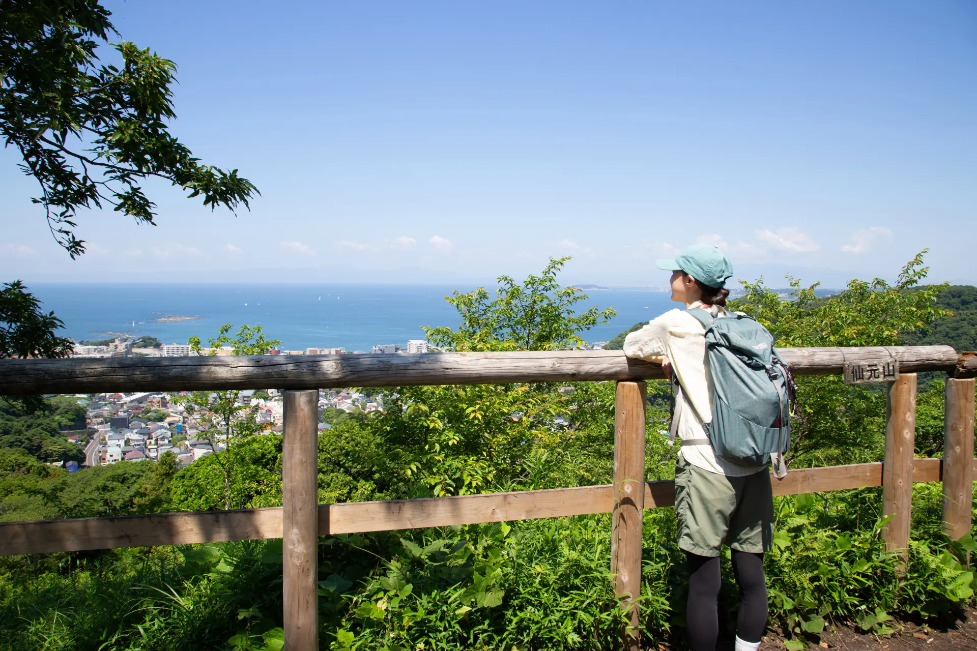 葉山半日モデルコース|初心者OK!仙元山ハイキングで絶景と三浦野菜を楽しむ