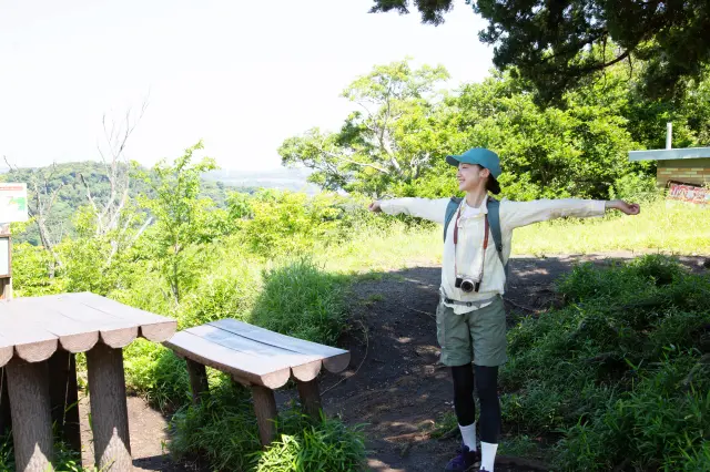 仙元山は気軽に登った先に絶景が待っている