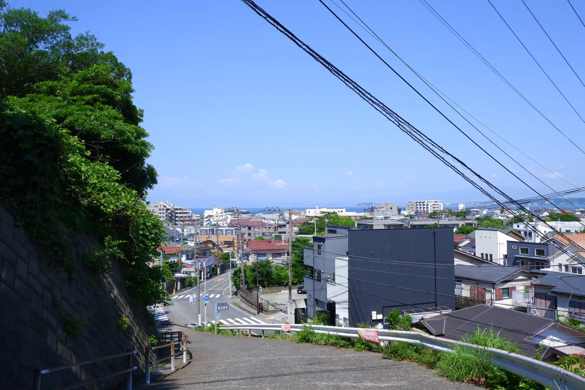 ちらりと顔をのぞかせる水平線に山頂からの景色への期待が高まる