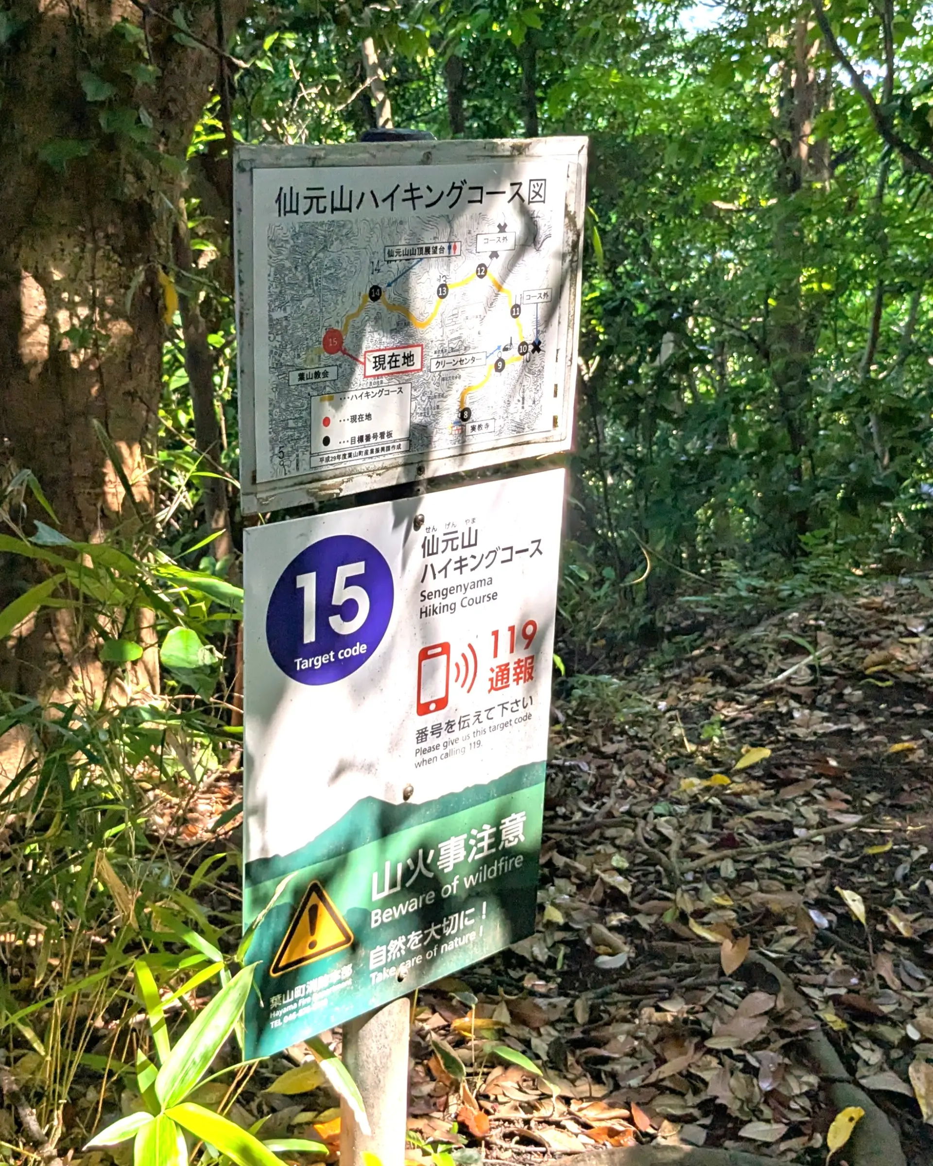 こまめにルートを確認できるので初心者にも安心