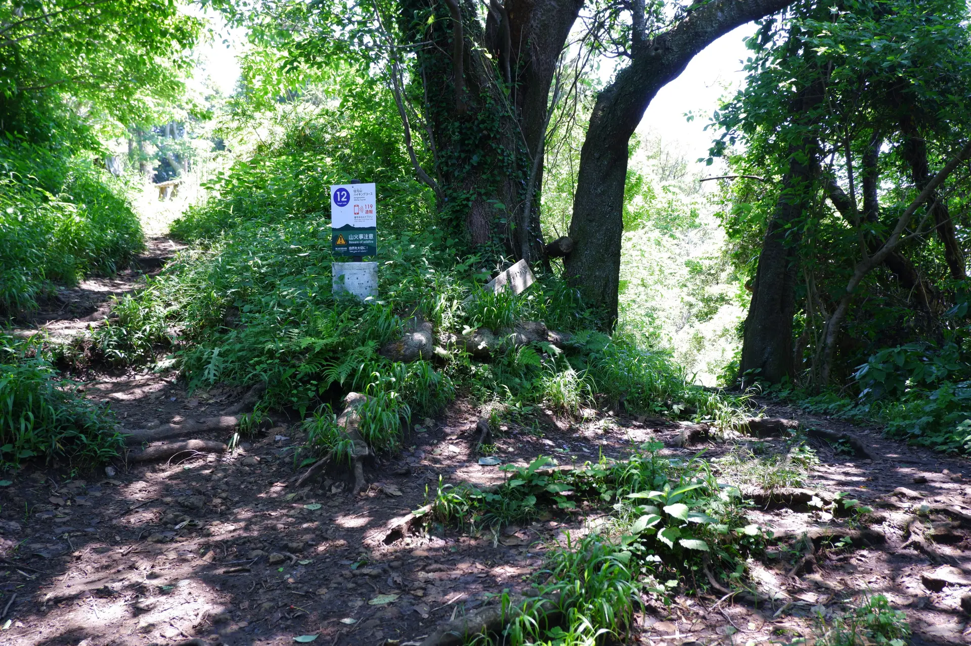 12の看板の左に行くとソッカ山山頂、右に下ると下山ルートの実教寺方面