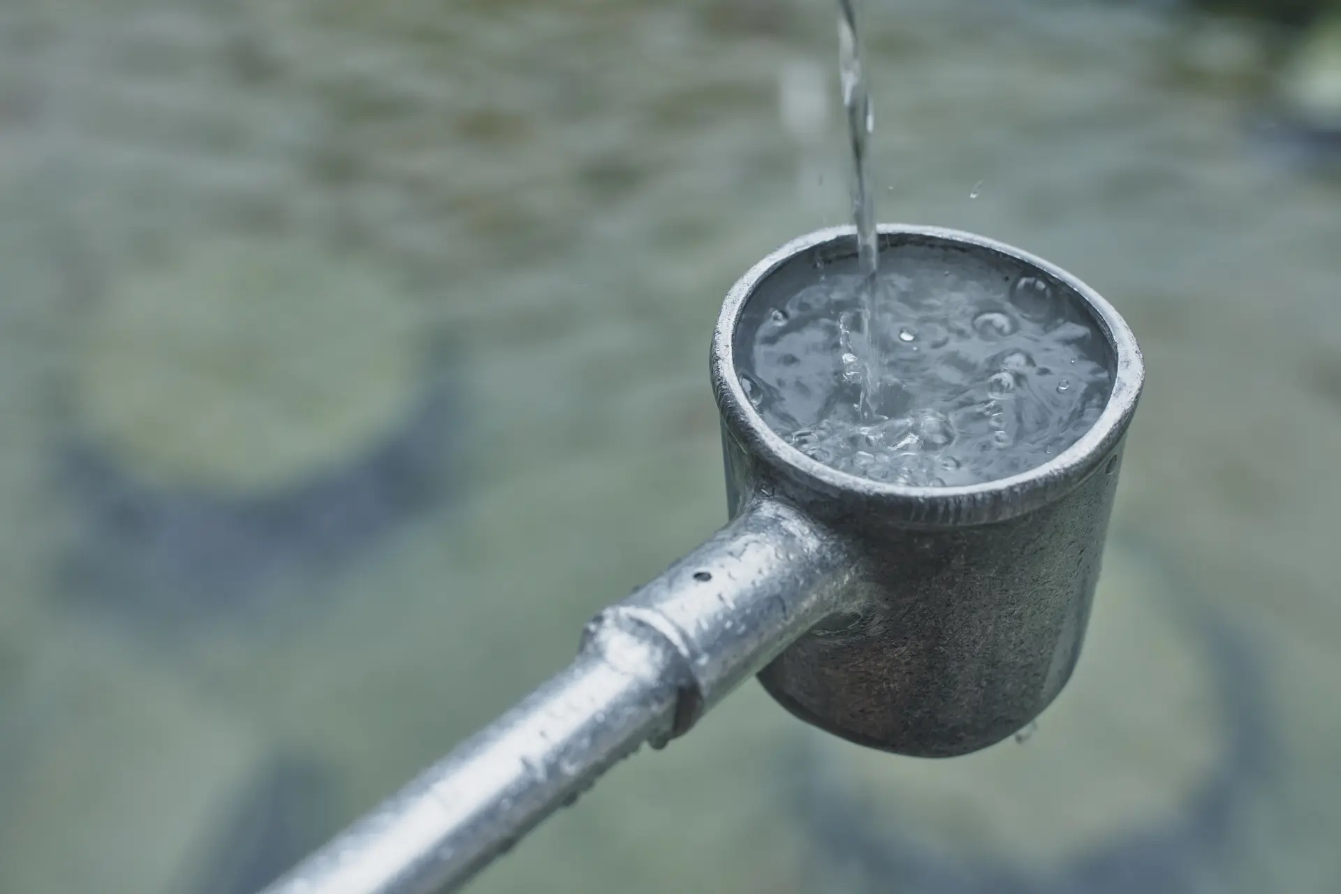 柄杓で水を汲み いただく