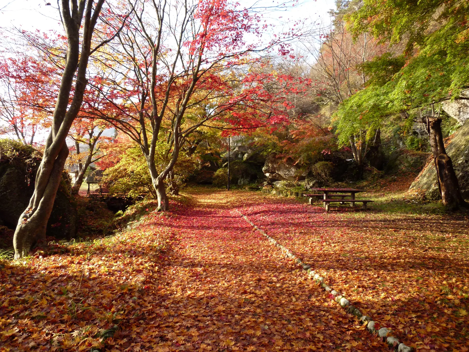 秋の紅葉をはじめ、春の桜、初夏のツツジ、冬の雪景色など四季折々の景観が楽しめる