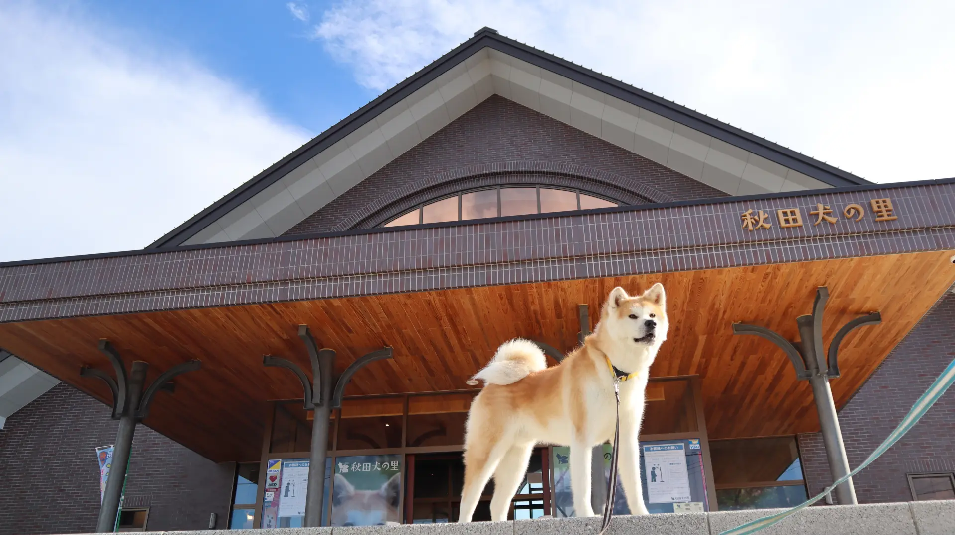 館内の秋田犬展示室では、見学ルールを守って見学しよう