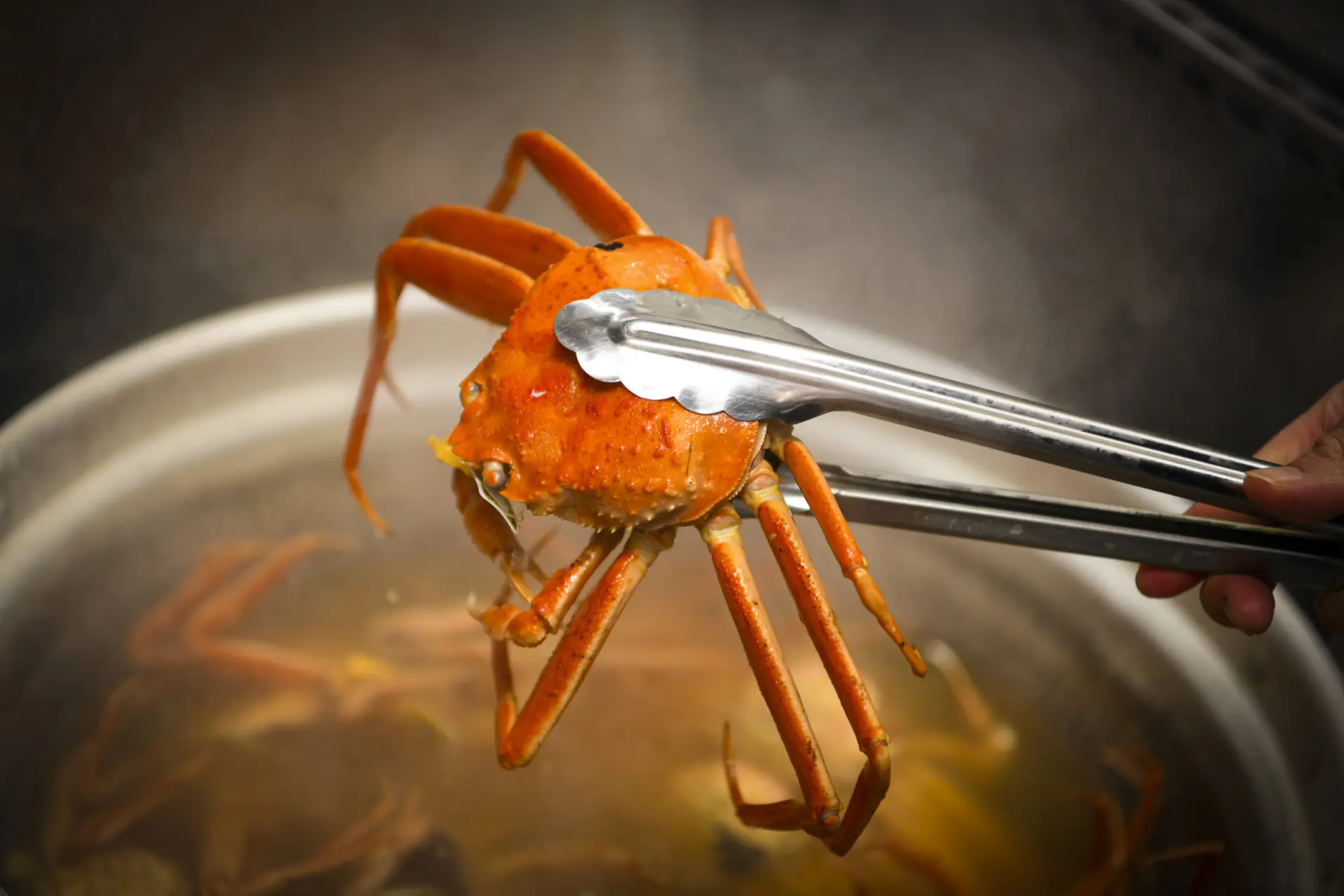 徹底した鮮度管理が味の違いを生む