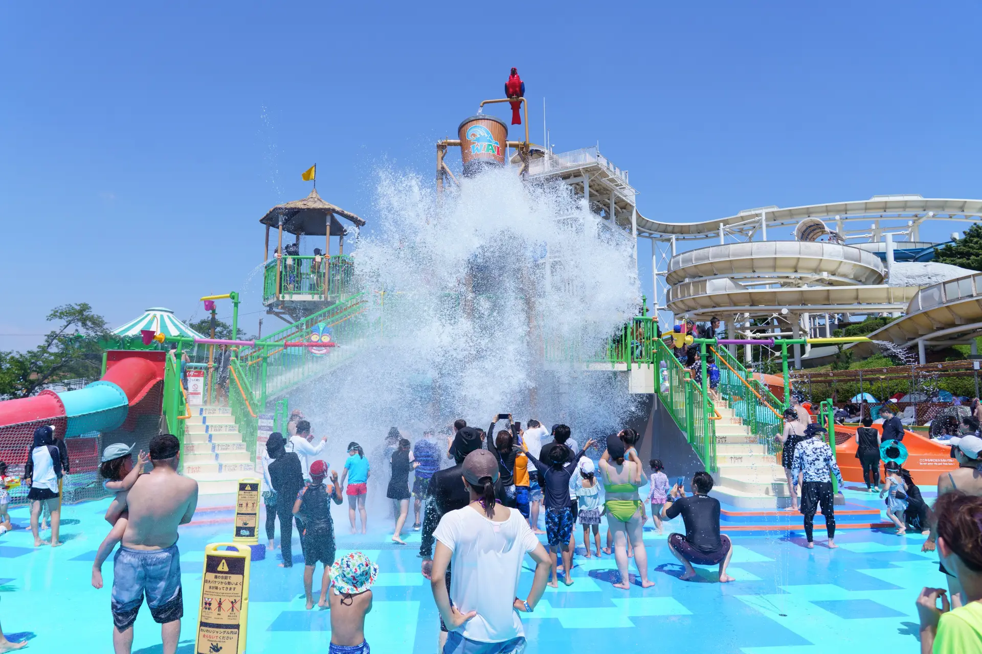 水が豪快に降り注ぎ、辺りは大盛り上がり