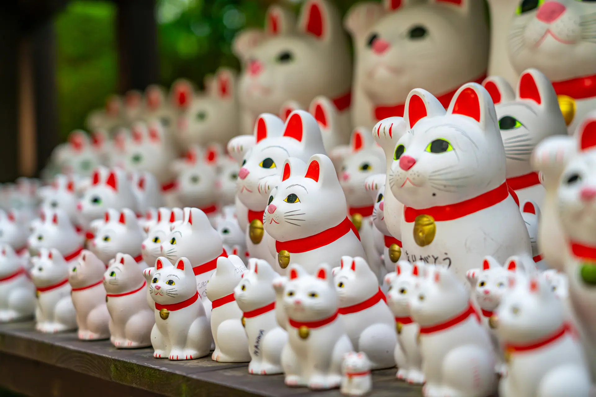 奉納された無数の招福猫児が並ぶ「豪徳寺」