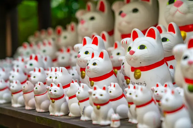 奉納された無数の招福猫児が並ぶ「豪徳寺」