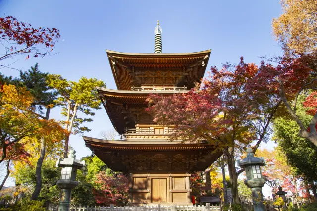 秋の「三重塔」は豪徳寺を代表する景観のひとつ