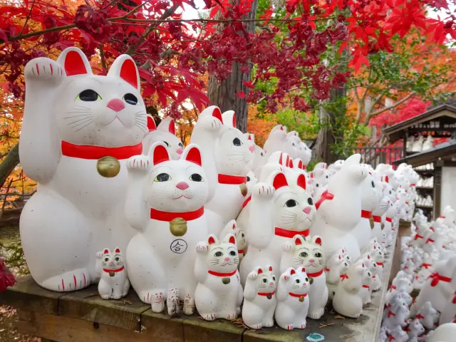 小判を持たず右手だけを挙げている豪徳寺の招き猫。