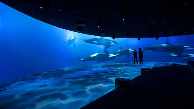 「ブルールーム」では、デジタルアートで海の世界を再現
