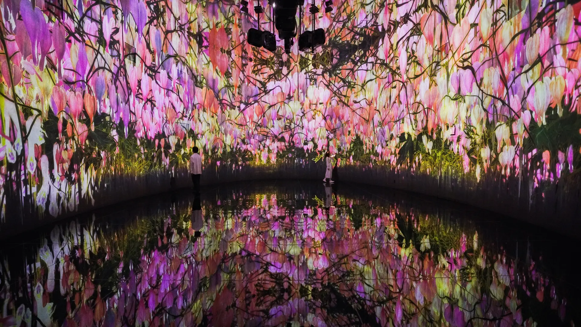 館内にはチームラボによるデジタルテクノロジーを駆使したアート作品が チームラボ《教会跡に増殖する無量の生命 - A Whole Year per Year》©チームラボ