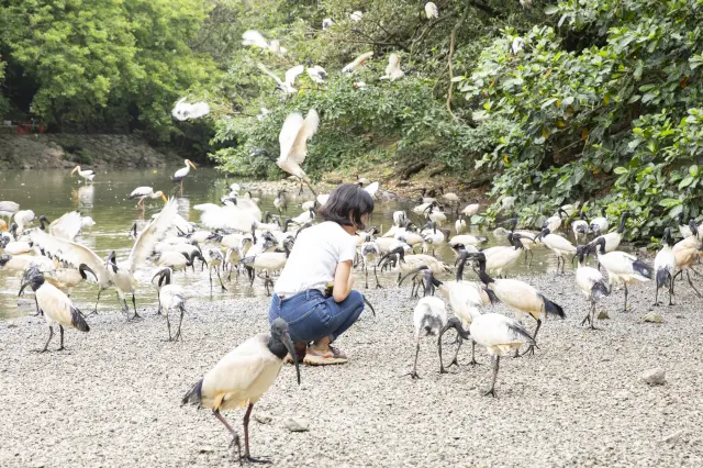 「名護自然動植物公園」完整指南：必看重點、推薦行程&門票交通一篇掌握