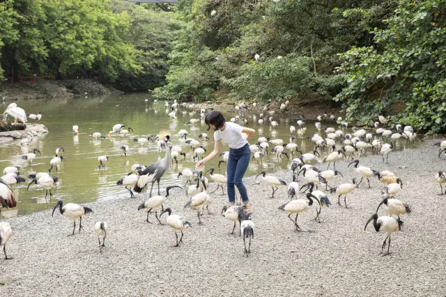 名護自然動植物公園