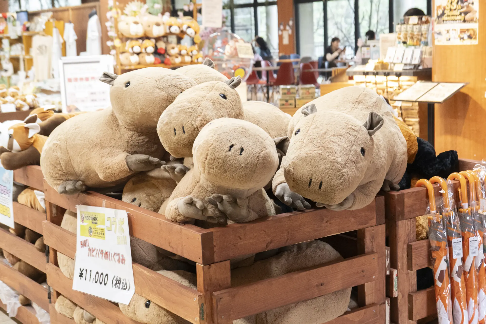 將互動廣場的回憶帶回家中