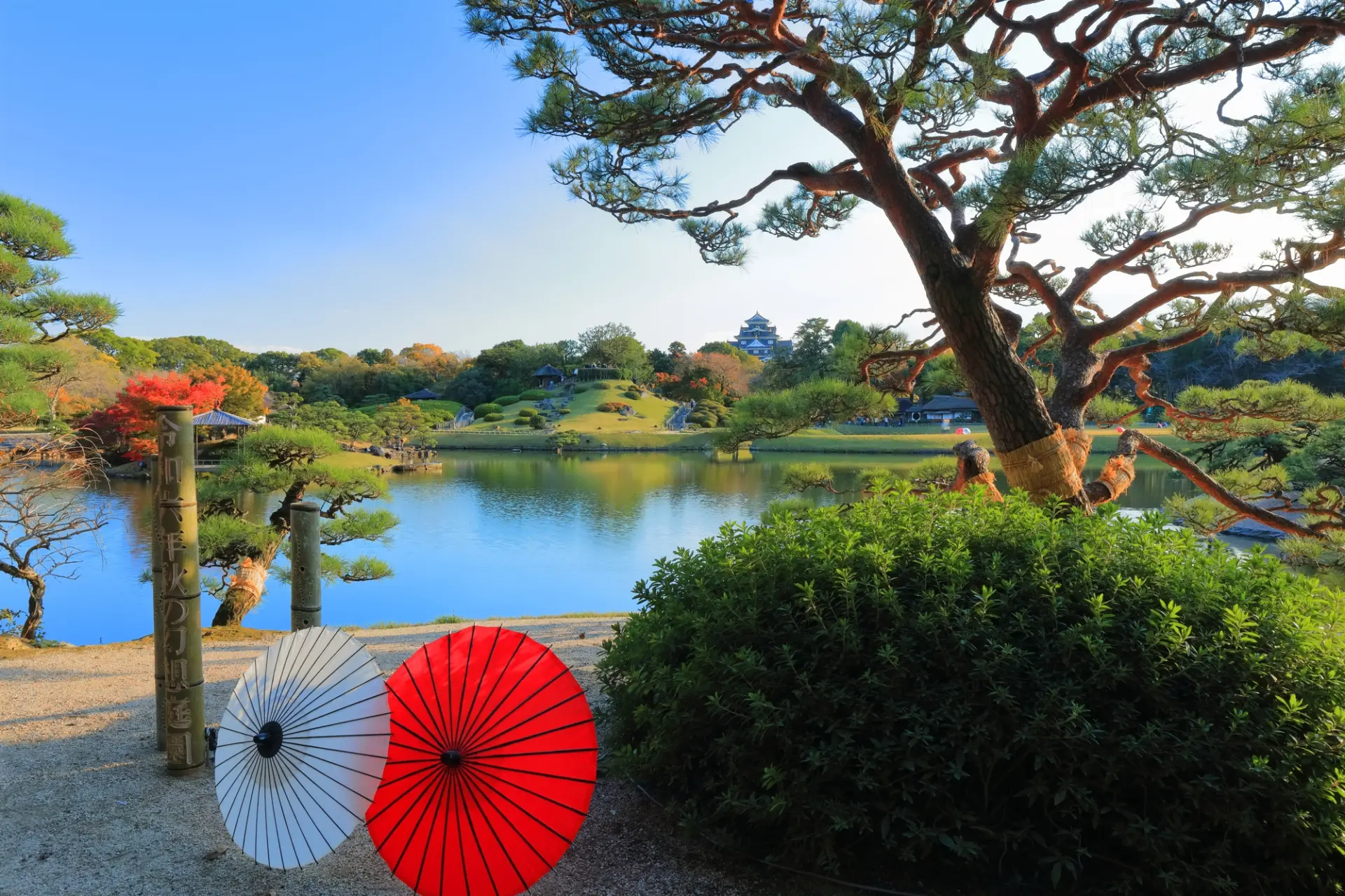 池と築山、芝生が広がる和の美しさに満ちた庭園の風景