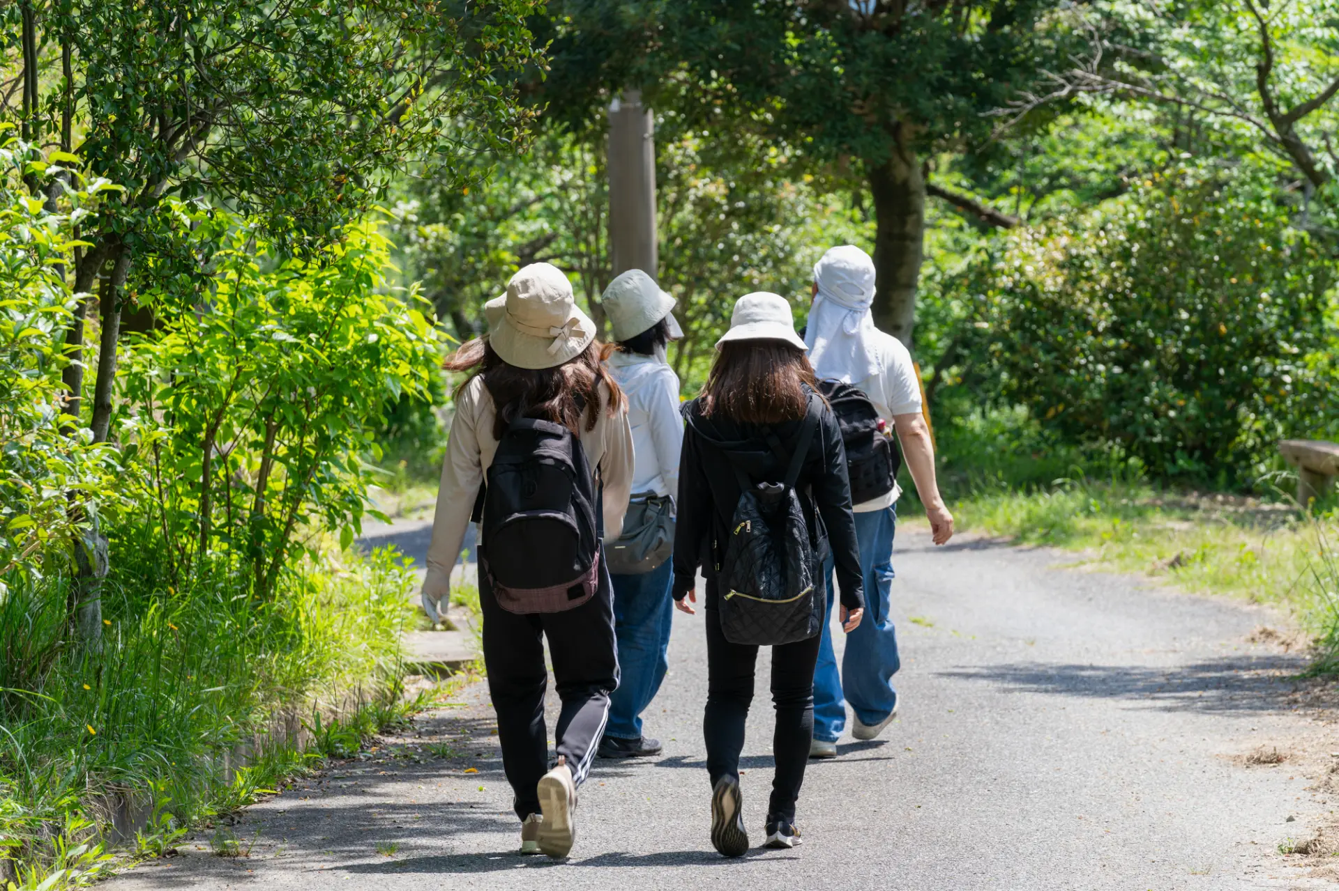 森の中の遊歩道を歩く散策では、木陰の涼しさと自然の静けさを感じながら過ごせる