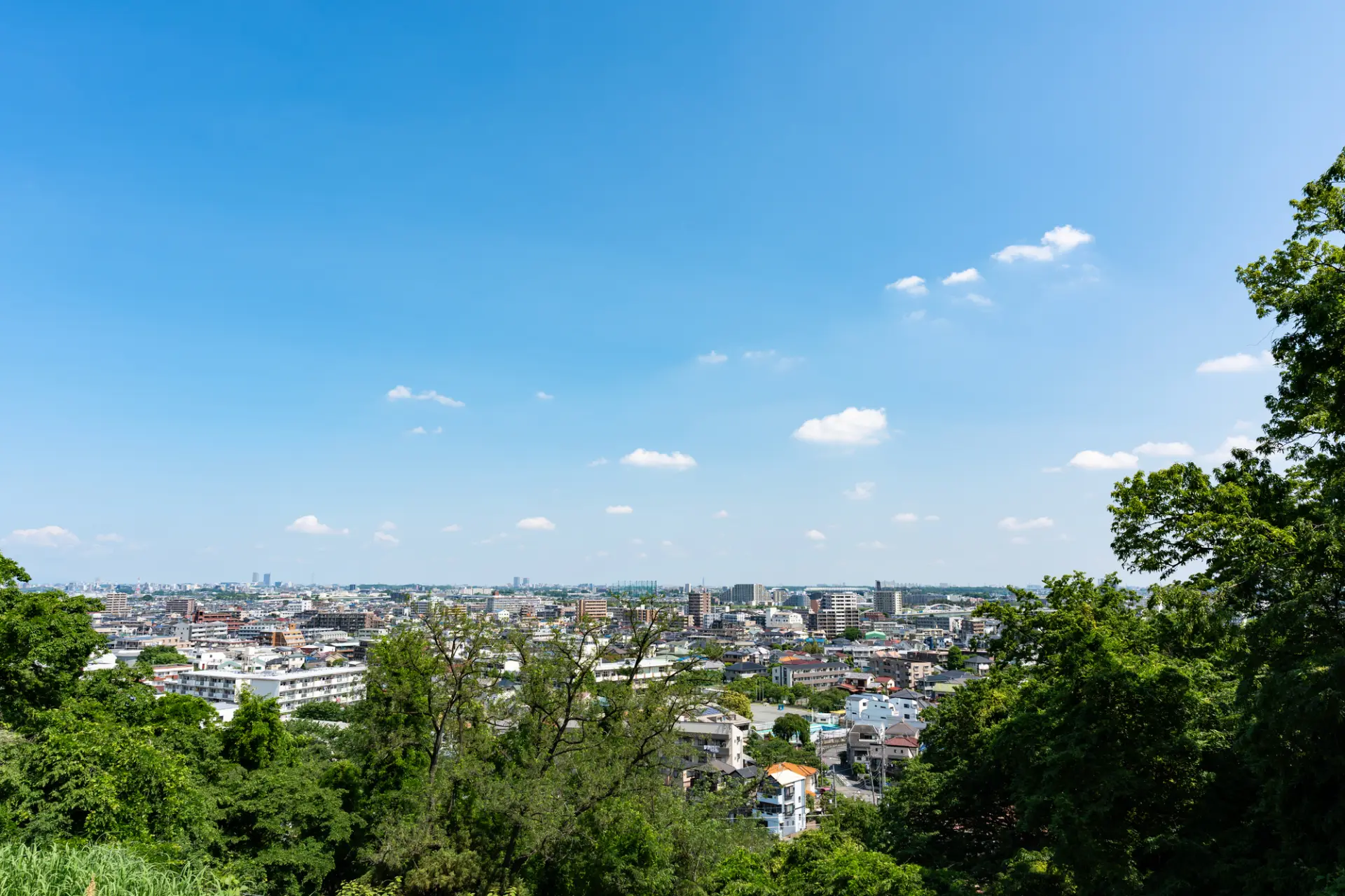 「よみうりランド」周辺の季節ごとの景色を楽しめる