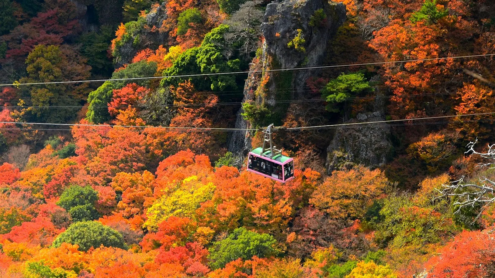 秋は紅葉の色鮮やかな景色が見られる