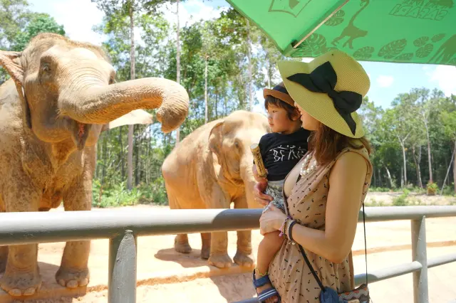 動物とのふれあいやエサやり体験は、親子旅の思い出づくりにもぴったり