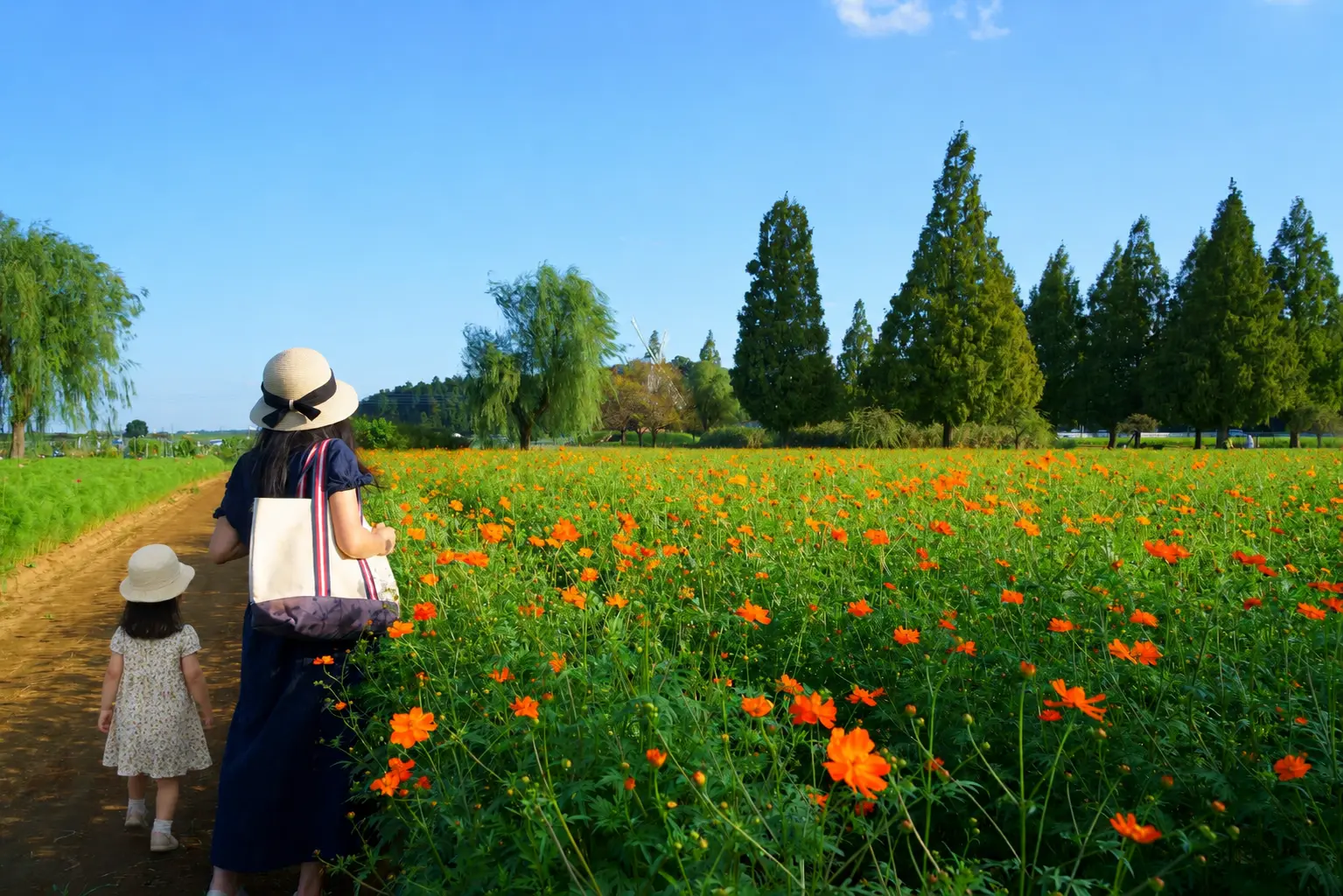 遊びも体験も盛りだくさん! 千葉県の親子旅におすすめの観光スポット13選