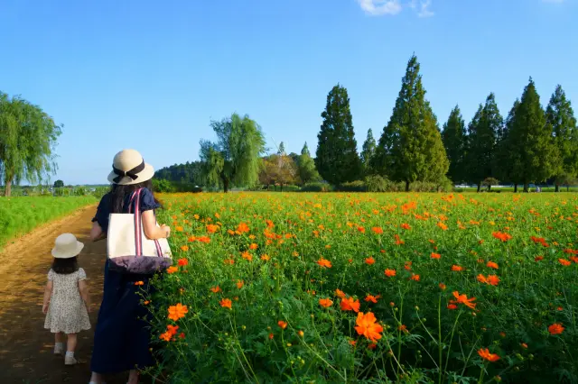 遊びも体験も盛りだくさん！ 千葉県の親子旅におすすめの観光スポット13選