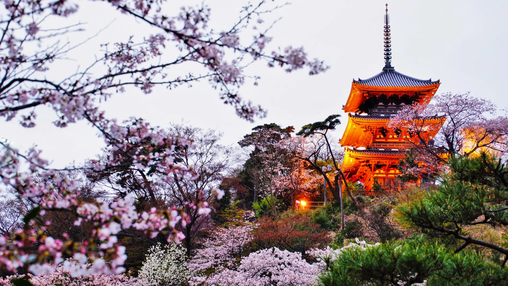 歴史的建造物と四季折々の花々が調和する美しい景観も魅力