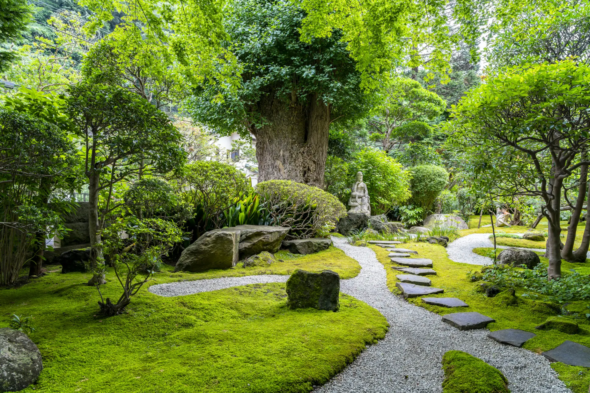 竹林だけでなく、四季折々の表情を見せる日本庭園も見どころ