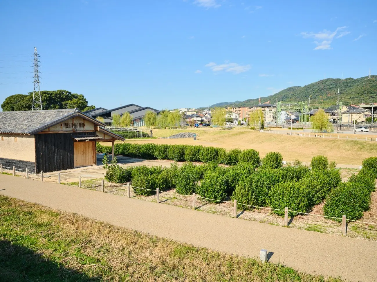 茶畑と覆小屋