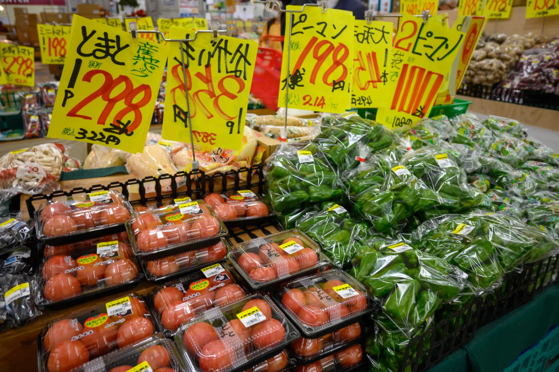 木津市場ではプロが選び抜いた確かな品質の食材に出会える