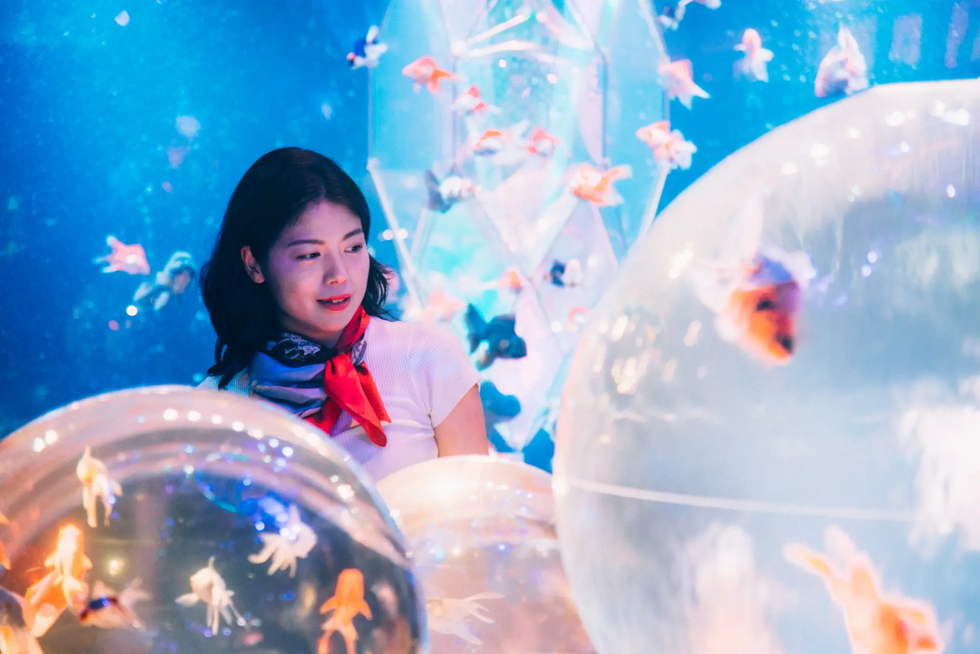 光と金魚の彩りが五感を刺激する「金魚ディスコ」ゾーン