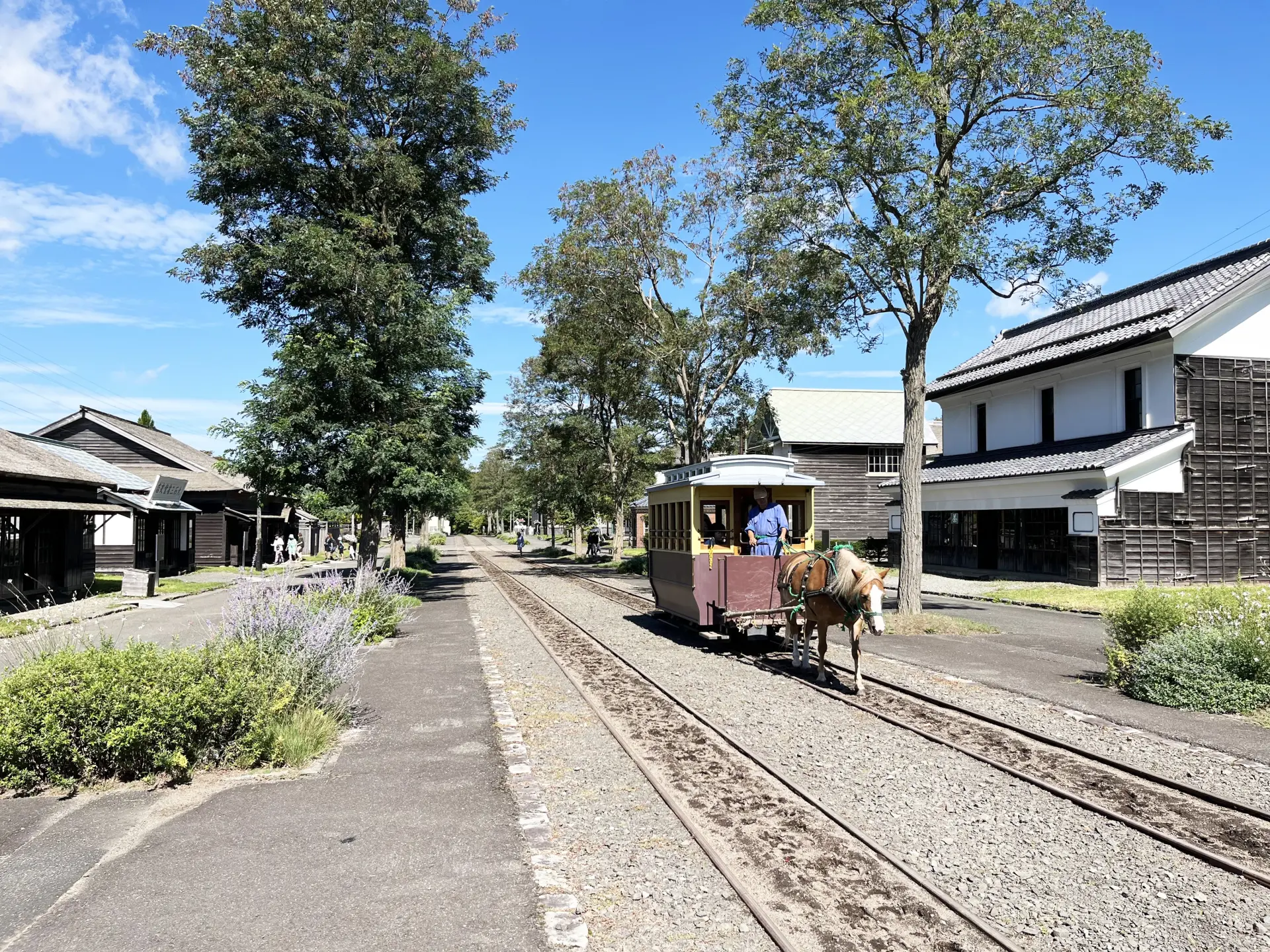 夏は馬車鉄道に乗って園内をゆったり巡れる