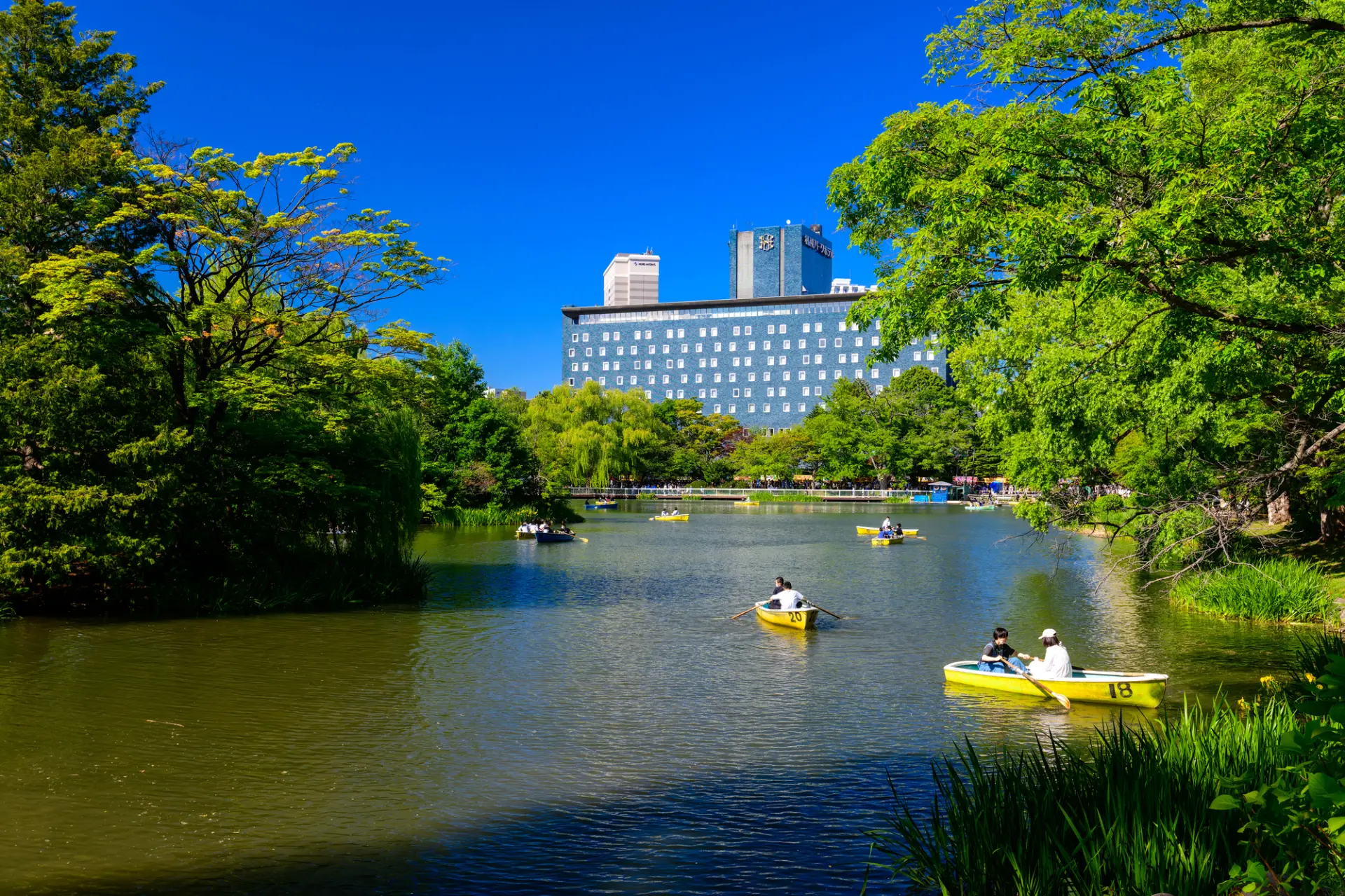 ボートに揺られながら、水辺の景色を満喫