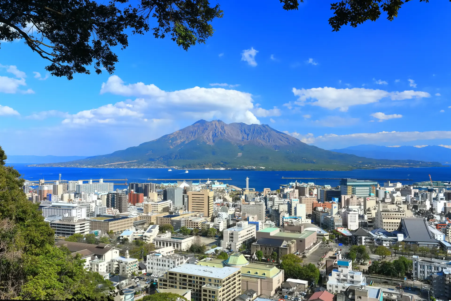 展望台からは錦江湾に浮かぶ桜島の全景が眺められる
